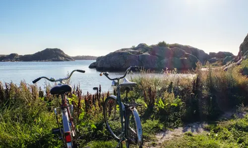 Sommar 1000X1000 Ah00002451